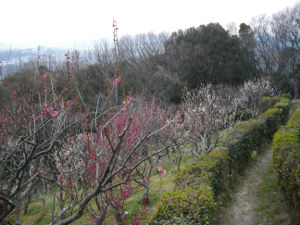 �{���R��V��(2014.3����3�T)