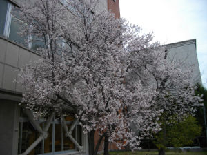 ��q�R����(2014.3����4�T)