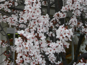 ��q�R����(2014.3����4�T)