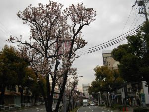 �����Q�P����(2014.3����4�T)