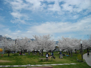 ������͌�����(2014.4����1�T)