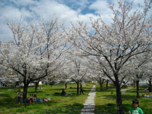 ������͌�����(2014.4����1�T)