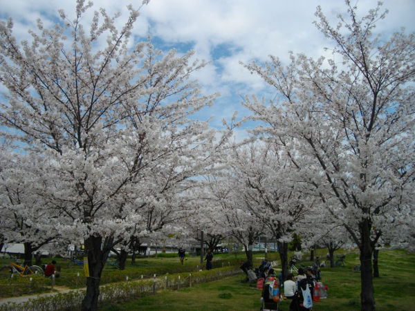 ������͌�����(2014.4����1�T)