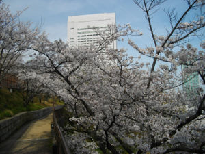 �k���V�H(2014.4����1�T)