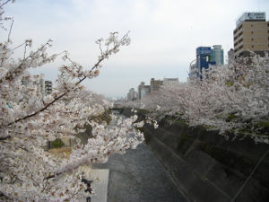 ���c��(2014.4����1�T)