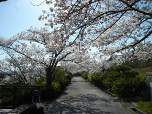 ���̉Ȋw������(2014.4����1�T)