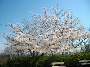 ������(2014.4����1�T)