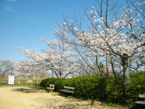 ������(2014.4����1�T)