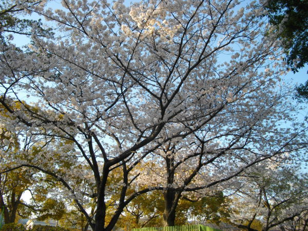 ��q�R����(2014.4����1�T)