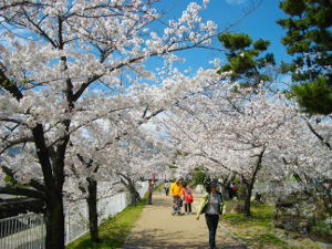 �Ή������(2014.4����1�T)