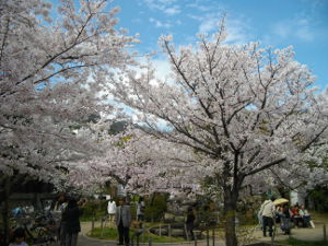 ���{�����(2014.4����1�T)