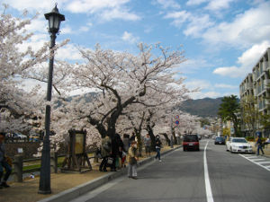 ������(2014.4����1�T)