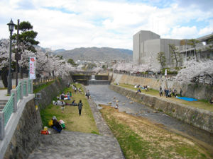 ������(2014.4����1�T)