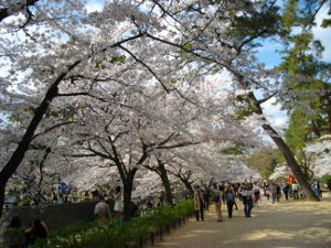 �g��(2014.4����1�T)