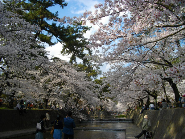 �g��(2014.4����1�T)