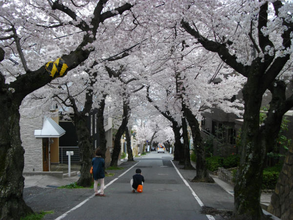 ���̃g���l��(2014.4����1�T)