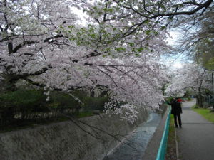 �J��(2014.4����1�T)