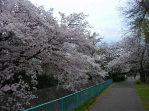 �J��(2014.4����1�T)