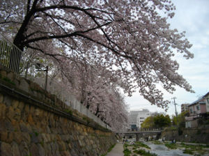 �s���(2014.4����1�T)