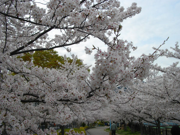 �s���(2014.4����1�T)