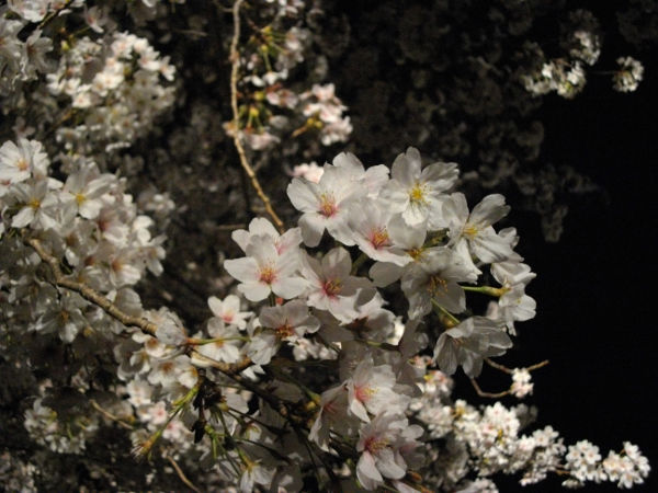 ���q������(2014.4����1�T)