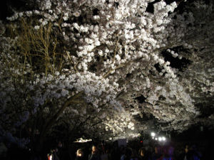 ���q������(2014.4����1�T)