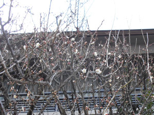 ���c�_��(2016.1����4�T)