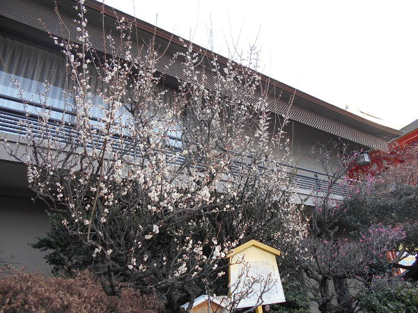 ���c�_��(2016.2����2�T)