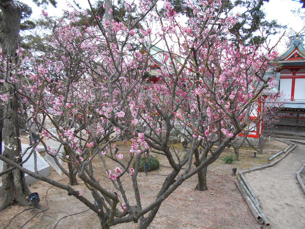 �j�~�V���{(2016.2����3�T)