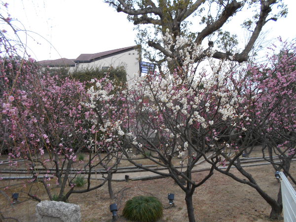 �j�~�V���{(2016.2����3�T)