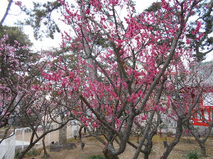 �j�~�V���{(2016.2����3�T)