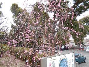 �j�~�V���{(2016.2����3�T)