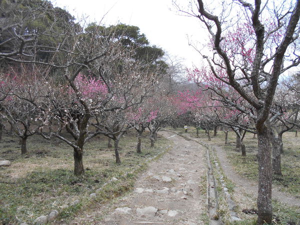 �ۋv�ǔ~��(2016.2����3�T)