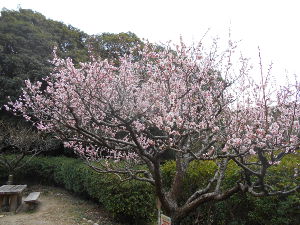 �ۋv�ǔ~��(2016.2����3�T)