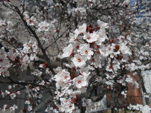 ��q�R����(2016.3����3�T)