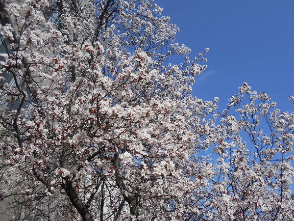 ��q�R����(2016.3����3�T)