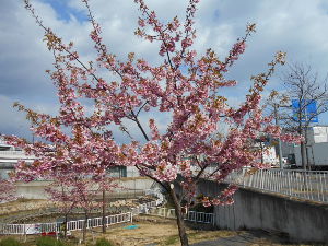 ������͌�����(2016.3����1�T)