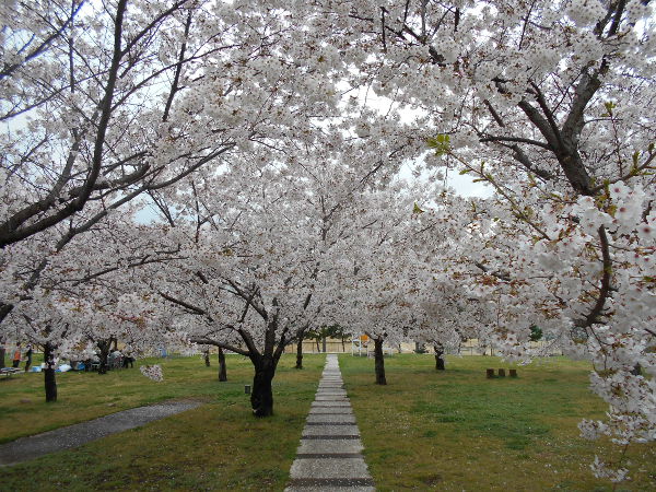 ������͌�����(2016.3����3�T)