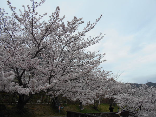 �k���V�H(2016.4����1�T)