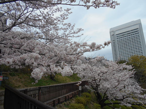 �k���V�H(2016.4����1�T)