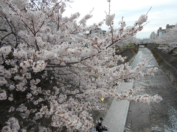 ���c��(2016.4����1�T)