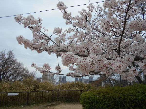 ������(2016.4����1�T)