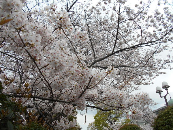 ���̉Ȋw������(2016.4����1�T)