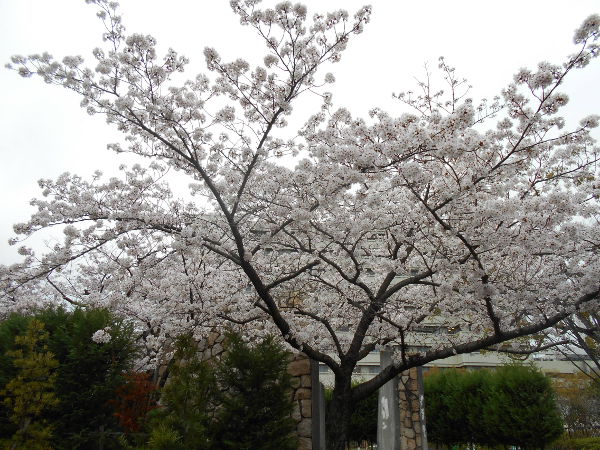 ��q�R����(2016.4����1�T)