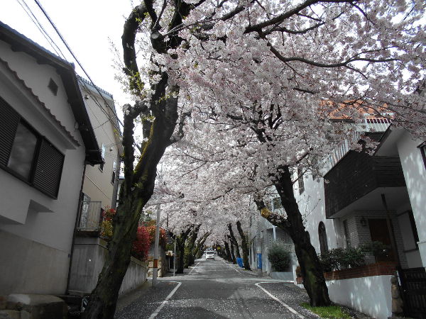 ���̃g���l��(2016.4����1�T)