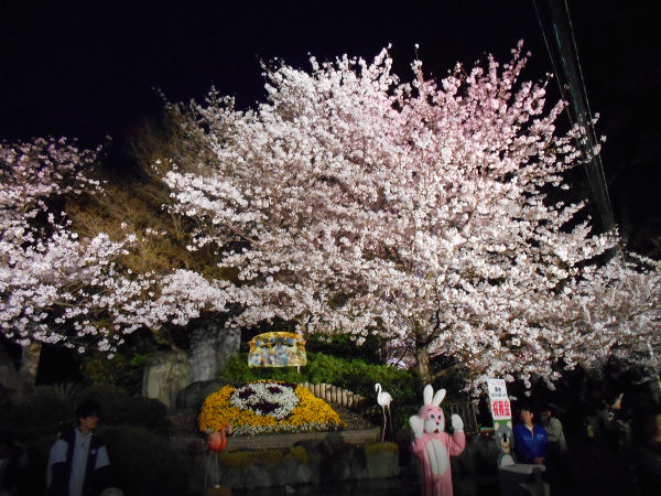 ���q������(2016.4����1�T)