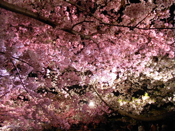 ���q������(2016.4����1�T)