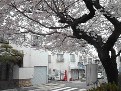 ������(2016.4����1�T)