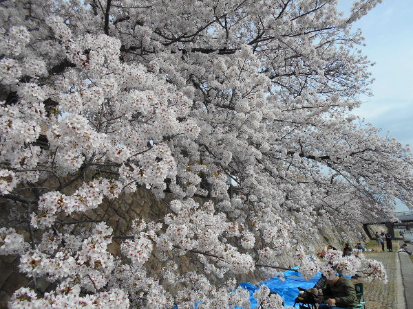 ������(2016.4����1�T)