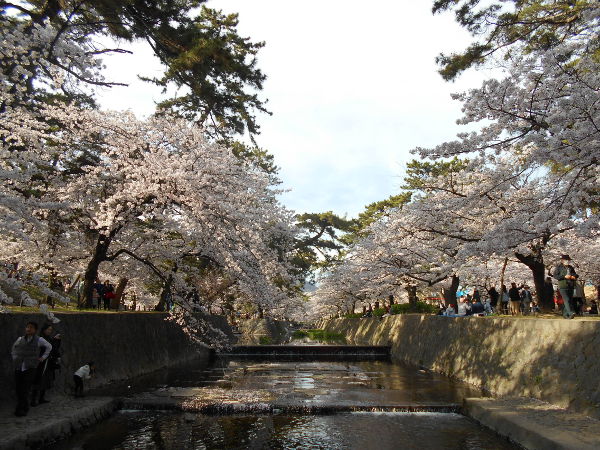 �g��(2016.4����1�T)